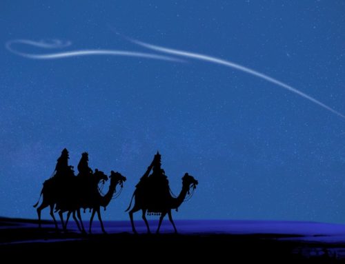 “LOS REYES MAGOS VISITAN SALTERAS”